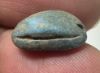 Picture of  Ancient Egypt. Egyptian Blue Faience  Scarab. New Kingdom . 14th Century B.C