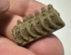 Picture of  ANCIENT EGYPT.  FAIENCE  AMULET with crockadiles .  600 - 300 B.C    