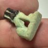 Picture of  ANCIENT EGYPT.   FAIENCE  AMULET OF A LION.  600 - 300 B.C    