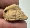 Picture of ANCIENT  EGYPT. STONE AMULET. DUCK. 600 - 300 B.C