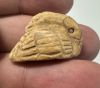 Picture of ANCIENT  EGYPT. STONE AMULET. DUCK. 600 - 300 B.C