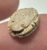 Picture of   Ancient Egypt. Stone Scarab Second Intermediate Period . 1700 - 1500  B.C