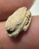 Picture of   Ancient Egypt. Stone Scarab Second Intermediate Period . 1700 - 1500  B.C