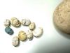 Picture of   Ancient Egypt. ALABASTER JAR WITH 9 SCARABS. FOUND TOGETHER. LEVANT. ALL STONE EXCEPT 1 EGYPTIAN BLUE . 1700 - 1500  B.C
