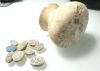 Picture of   Ancient Egypt. ALABASTER JAR WITH 9 SCARABS. FOUND TOGETHER. LEVANT. ALL STONE EXCEPT 1 EGYPTIAN BLUE . 1700 - 1500  B.C