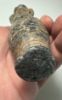Picture of Ancient Greek Core-Formed Glass Alabastron. 6th - 5th century B.C