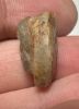 Picture of   Ancient Roman . Stone Cameo. 200 - 300 A.D