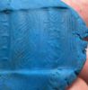 Picture of An ancient  Pseudo-Egyptian - Canaanite Stone Cylinder seal. 16th - 15th century B.C