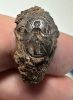 Picture of Roman Near East. Stone intaglio in iron ring setting (11 x 8 mm). Incuse Athena standing 
