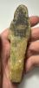 Picture of   Ancient Egypt. FAIENCE USHABTI. NEW KINGDOM.  1400 - 1250 B.C