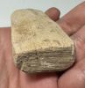 Picture of   Ancient Egypt. STONE FERTILITY PLAQUE. 600 - 300 B.C. NUDE FEMALE