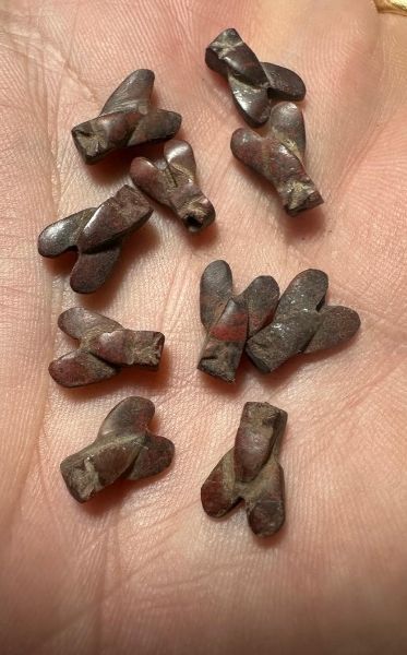 Picture of LOT OF 10 : ANCIENT EGYPT. NEW KINGDOM RED JASPER FLY AMULETS. 1400 B.C