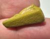 Picture of ANCIENT EGYPT.  BEAUTIFUL SHINY OLIVE GREEN COLOR. GRECO - ROMAN - FAIENCE HARE AMULET . 300 B.C - 100 A.D