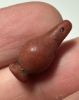 Picture of  ANCIENT EGYPT. CARNELIAN POPPY SEED AMULET. 1250 B.C  NEW KINGDOM