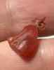 Picture of ANCIENT EGYPT, NEW KINGDOM CARNELIAN CAT AMULET. 1400 - 1200 B.C