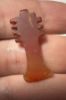 Picture of ANCIENT EGYPT -  BEAUTIFUL  CARNELIAN AMULET OF A DJED PILLAR . NEW KINGDOM .1250 B.C. 