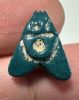 Picture of ANCIENT EGYPT.  BEAUTIFUL COLOR. GRECO - ROMAN - FAIENCE FLY AMULET . 300 B.C - 100 A.D