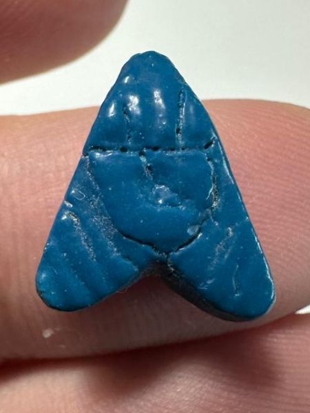 Picture of ANCIENT EGYPT.  BEAUTIFUL COLOR. GRECO - ROMAN - FAIENCE FLY AMULET . 300 B.C - 100 A.D