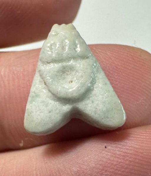 Picture of ANCIENT EGYPT.  BEAUTIFUL COLOR. GRECO - ROMAN - FAIENCE FLY AMULET . 300 B.C - 100 A.D