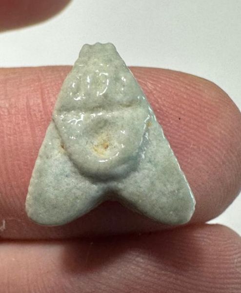 Picture of ANCIENT EGYPT.  BEAUTIFUL COLOR. GRECO - ROMAN - FAIENCE FLY AMULET . 300 B.C - 100 A.D