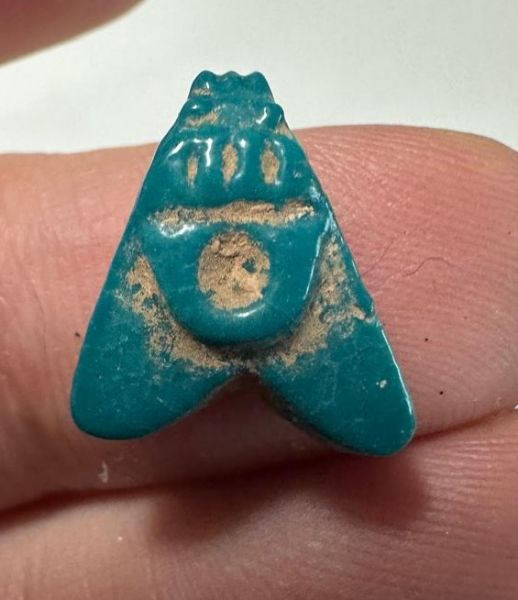 Picture of ANCIENT EGYPT.  BEAUTIFUL COLOR. GRECO - ROMAN - FAIENCE FLY AMULET . 300 B.C - 100 A.D