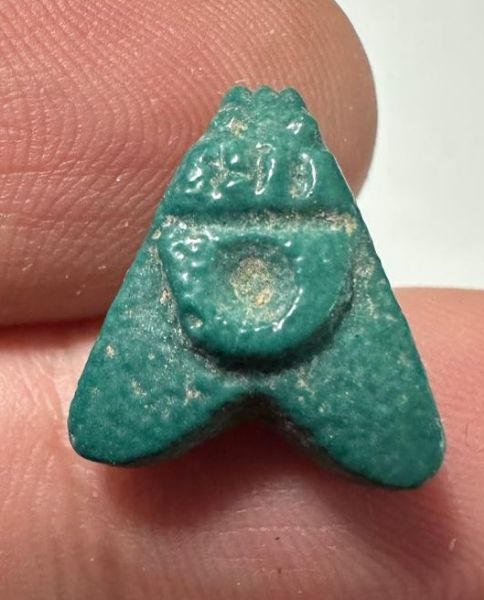 Picture of ANCIENT EGYPT.  BEAUTIFUL COLOR. GRECO - ROMAN - FAIENCE FLY AMULET . 300 B.C - 100 A.D