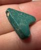 Picture of ANCIENT EGYPT.  BEAUTIFUL COLOR. GRECO - ROMAN - FAIENCE FLY AMULET . 300 B.C - 100 A.D