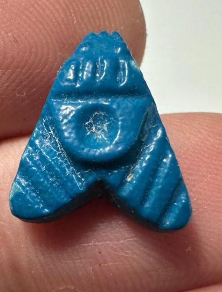Picture of ANCIENT EGYPT.  BEAUTIFUL COLOR. GRECO - ROMAN - FAIENCE FLY AMULET . 300 B.C - 100 A.D