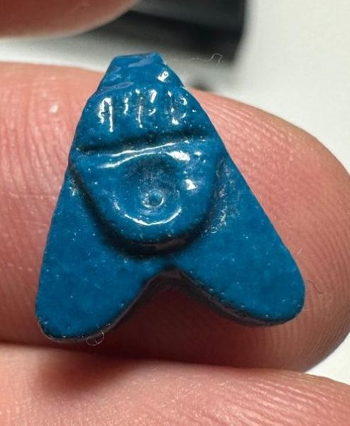 Picture of ANCIENT EGYPT.  BEAUTIFUL COLOR. GRECO - ROMAN - FAIENCE FLY AMULET . 300 B.C - 100 A.D