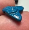 Picture of ANCIENT EGYPT.  BEAUTIFUL COLOR. GRECO - ROMAN - FAIENCE FLY AMULET . 300 B.C - 100 A.D