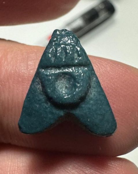 Picture of ANCIENT EGYPT.  BEAUTIFUL COLOR. GRECO - ROMAN - FAIENCE FLY AMULET . 300 B.C - 100 A.D