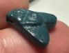 Picture of ANCIENT EGYPT.  BEAUTIFUL COLOR. GRECO - ROMAN - FAIENCE FLY AMULET . 300 B.C - 100 A.D