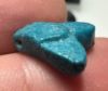 Picture of ANCIENT EGYPT.  BEAUTIFUL COLOR. GRECO - ROMAN - FAIENCE FLY AMULET . 300 B.C - 100 A.D
