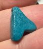 Picture of ANCIENT EGYPT.  BEAUTIFUL COLOR. GRECO - ROMAN - FAIENCE FLY AMULET . 300 B.C - 100 A.D