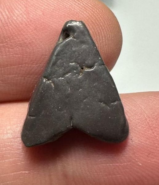 Picture of ANCIENT EGYPT.  BEAUTIFUL COLOR. GRECO - ROMAN - FAIENCE FLY AMULET . 300 B.C - 100 A.D