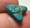 Picture of ANCIENT EGYPT.  BEAUTIFUL COLOR. GRECO - ROMAN - FAIENCE FLY AMULET . 300 B.C - 100 A.D