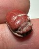 Picture of ANCIENT EGYPT.  BEAUTIFUL COLOR. GRECO - ROMAN - FAIENCE SCARAB AMULET . 300 B.C - 100 A.D