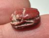 Picture of ANCIENT EGYPT.  BEAUTIFUL COLOR. GRECO - ROMAN - FAIENCE SCARAB AMULET . 300 B.C - 100 A.D