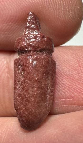 Picture of ANCIENT EGYPT.  BEAUTIFUL COLOR. GRECO - ROMAN - FAIENCE HEART AMULET . 300 B.C - 100 A.D