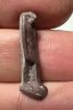 Picture of ANCIENT EGYPT.  BEAUTIFUL COLOR. GRECO - ROMAN - FAIENCE THOTH AMULET . 300 B.C - 100 A.D
