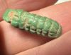 Picture of ANCIENT EGYPT.  BEAUTIFUL COLOR. GRECO - ROMAN - FAIENCE  AMULET . 300 B.C - 100 A.D. FLORAL ELEMENT OR BUNCH OF GRAPES