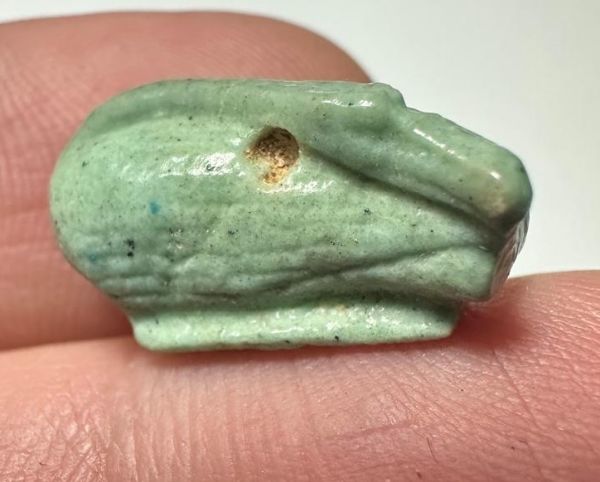 Picture of ANCIENT EGYPT.  BEAUTIFUL COLOR. GRECO - ROMAN - FAIENCE GOOSE AMULET . 300 B.C - 100 A.D
