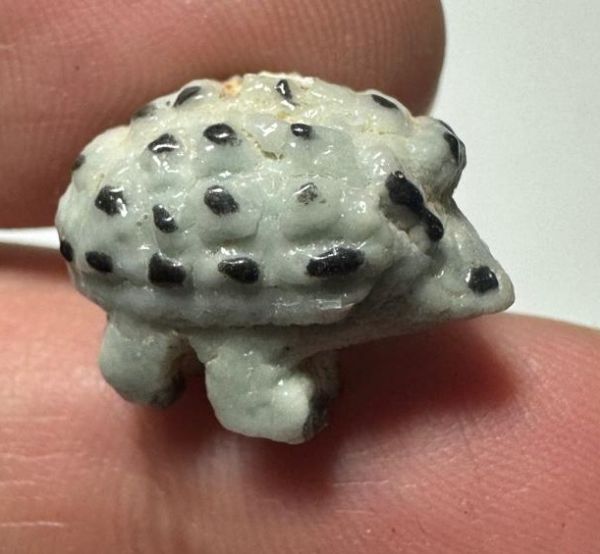 Picture of ANCIENT EGYPT.  BEAUTIFUL COLOR. GRECO - ROMAN - FAIENCE HEDGEHOG AMULET . 300 B.C - 100 A.D