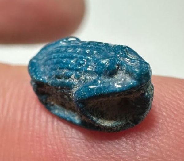 Picture of ANCIENT EGYPT.  BEAUTIFUL COLOR. GRECO - ROMAN - FAIENCE FROG SCARABOID . 300 B.C - 100 A.D