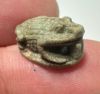 Picture of ANCIENT EGYPT.  BEAUTIFUL COLOR. GRECO - ROMAN - FAIENCE FROG SCARABOID . 300 B.C - 100 A.D