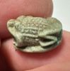 Picture of ANCIENT EGYPT.  BEAUTIFUL COLOR. GRECO - ROMAN - FAIENCE FROG SCARABOID . 300 B.C - 100 A.D