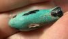 Picture of ANCIENT EGYPT.  BEAUTIFUL COLOR. GRECO - ROMAN - FAIENCE BIRD AMULET . 300 B.C - 100 A.D