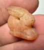 Picture of ANCIENT EGYPT -  BEAUTIFUL  CARNELIAN AMULET OF A HARE . NEW KINGDOM .1250 B.C. 
