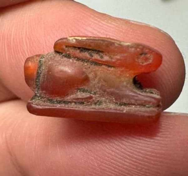 Picture of ANCIENT EGYPT -  BEAUTIFUL  CARNELIAN AMULET OF A HARE . NEW KINGDOM .1250 B.C. 