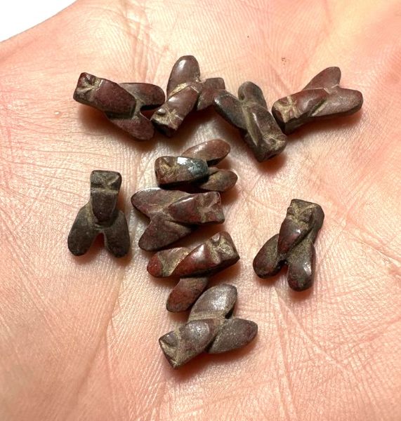 Picture of LOT OF 10 : ANCIENT EGYPT. NEW KINGDOM RED JASPER FLY AMULETS. 1400 B.C